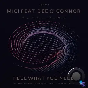Mici - Feel What You Need (2025)