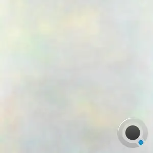 Variant - A Silent Storm (2026)