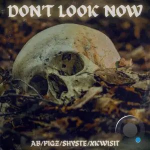 Ab The Audicrat - Don't Look Now feat VA (2025)