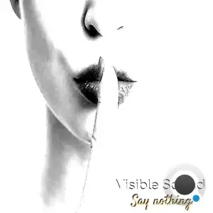 Visible Sound - Say Nothing (2026)