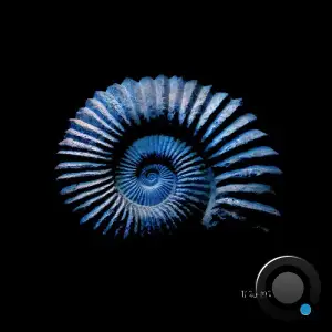 Bulah - Mass Extinctions (2026)