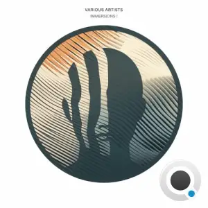 Immersions I (2026)