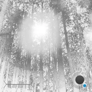 21b - ii. Interference (2026)