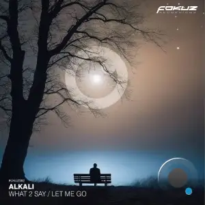 Alkali. - What 2 Say / Let Me Go (2026)