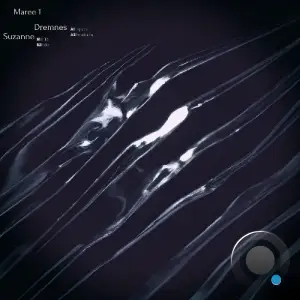 Suzanne - MAREE01 (2026)
