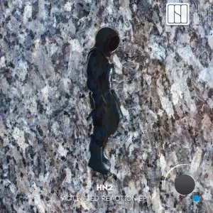 HN2 - Activated Reaction (2026)