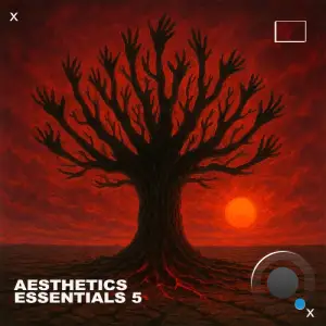 Aesthetics Essentials 5 (2026)