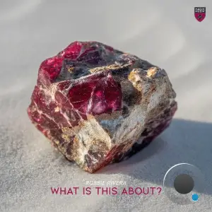Robbie Rivera - What is This About? (2026)