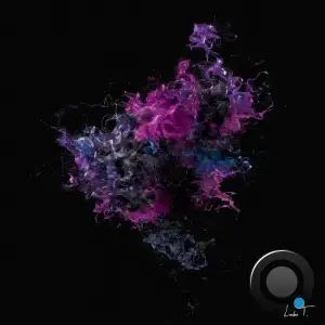 Teho & Thaylo - Belong (2026)