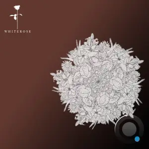 Matara - Feel so Nice (2026)