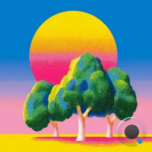 Kashovski - Timbo (2026)