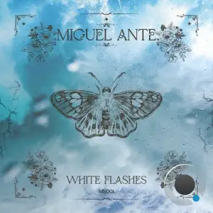 Miguel Ante - White Flashes (2025)