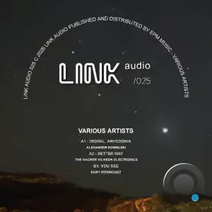 Dany Rodriguez - LINK Audio Various Artists Release (2025)