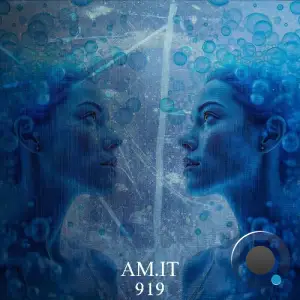 aM.IT - 919 (2025)