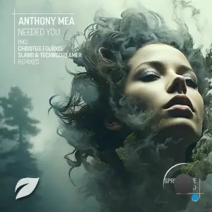 Anthony Mea - Needed You (2025)