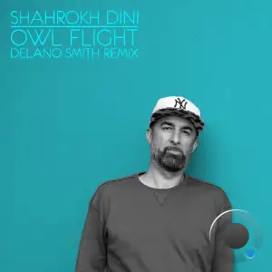 Shahrokh Dini x Delano Smith - Owl Flight (Delano Smith Remix - 2026 Edit) (2026)