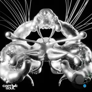 Rafael Cerato & Morganj - Slow Down (2026)