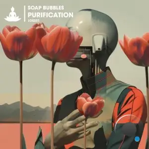 Soap Bubbles - Purification (2026)