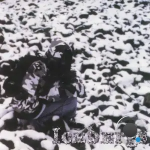 Skell - Icebergs (2026)