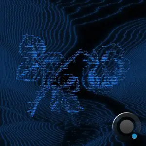 Long Island Sound - Searching (Live Mix) (2026)