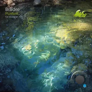 Braidee - Purified (2026)