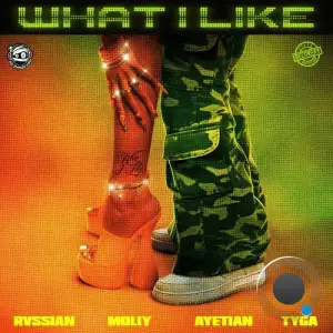 Rvssian (Ft. Moliy, Ayetian, Tyga) - What I Like (2026)