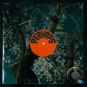 Sweatson Klank - Perhaps (2026)