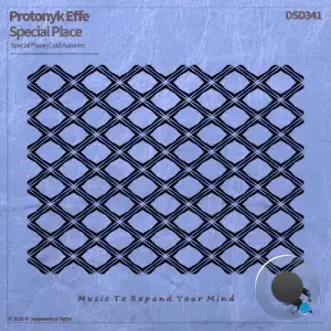 Protonyk Effe - Special Place (2026)