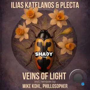 Ilias Katelanos & Plecta - Veins of Light (2026)