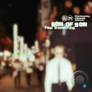 Son of Son, De Ambassade - Feel Something (2026)
