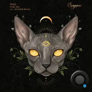 PAAX (Tulum) - Feel Me (2026)