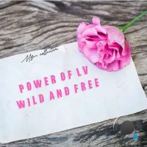 Mfm collective - Power of Lv Wild and Free (2026)