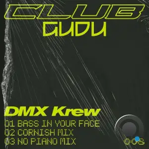 DMX Krew - Bass In Your Face (2026)