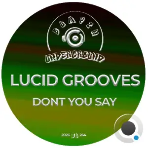 Lucid Grooves - Don't You Say (2026)