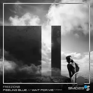 Freezidnb - Feeling Blue / Wait For Me (2026)