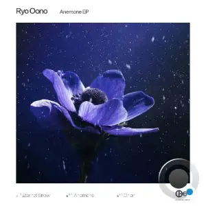Ryo Oono - Anemone (2026)
