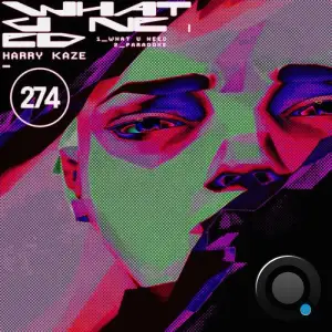 Harry Kaze - What U Need Ep (2026)