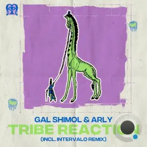 Gal Shimol, ARLY (IL) - Tribe Reaction (2026)