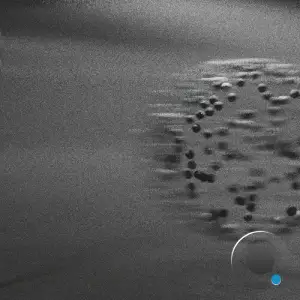 Molecular - One Dub (2026)