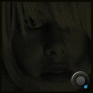 Phonique & Erlend Øye - For The Time Being (Steve Bug Remix) (2026)