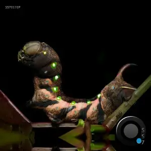 James Harbrecht - Incantations (2026)