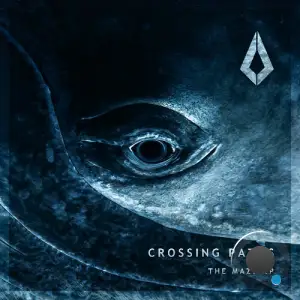 Crossing Paths - The Maze (2026)