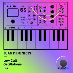 Juan Deminicis - Soulsynth 08 (2026)