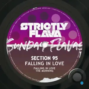 Section 95 - Falling In Love & The Morning (2026)