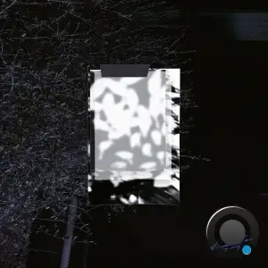 Groof - Simulation (2026)