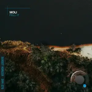 Moli - Feel It (2026)