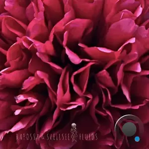 Rapossa & Shellsee - Fluids (2026)