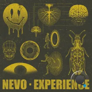 Nevo - Experience (2026)