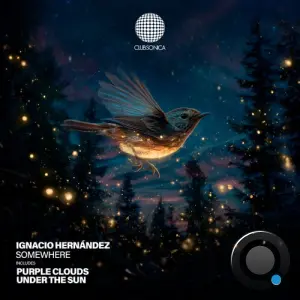 Ignacio Hernandez - Somewhere (2026)