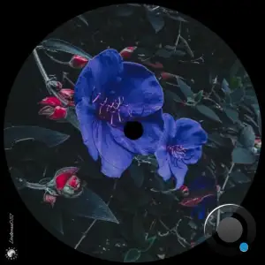 Ron Deacon - Back (2026)